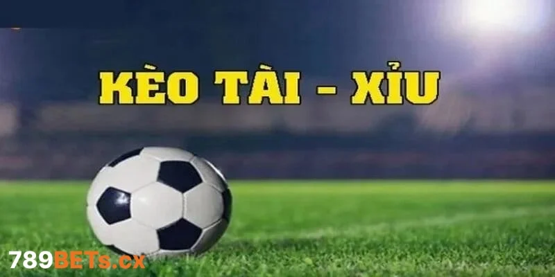 Phương pháp soi kèo tài xỉu được chuyên gia áp dụng 